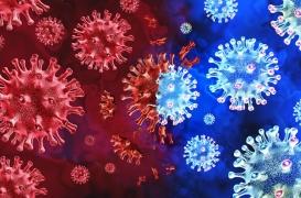 Covid-19 : après vaccination, l'infection par les précédents variants d'Omicron offre une meilleure protection contre BA.5 