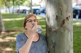 Nos conseils pour se prémunir des fortes chaleurs 