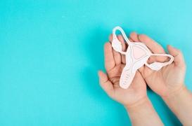 Un lien entre cancer de l’ovaire et le microbiome intime découvert