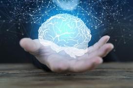 Des scientifiques réussissent à transférer des souvenirs d’un individu à l’autre