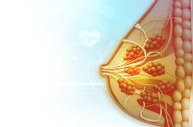 Cancer du sein : plus de 900 produits chimiques courants suspectés de le favoriser