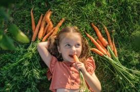 Le goût des enfants pour les légumes commence dès la grossesse