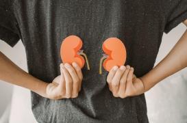 Les donneurs de reins ont plus de risques de fractures