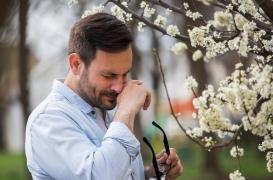 Allergies aux pollens : seul le bassin méditerranéen est épargné