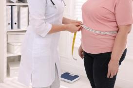 Obésité et diabète : le rôle d'une protéine, clé de nouveaux traitements