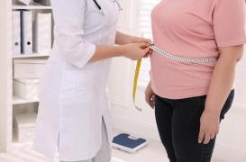 Obésité : et si la graisse brune était une alliée de taille ? 