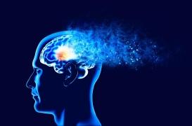 Le cerveau des hommes et des femmes réagit différemment au stress