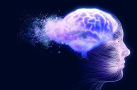 Schizophrénie : les chercheurs découvrent un lien entre deux protéines du cerveau