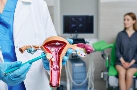 Fibromes utérins : un bon contrôle de la tension artérielle pourrait les prévenir 