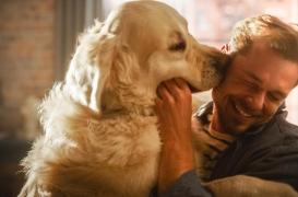 Peut-on embrasser son animal de compagnie sans risque ?