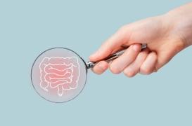 Cancer colorectal : comment un dérèglement des lipides nourrit l’inflammation ?