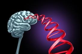 Épilepsie génétique : un diagnostic rapide dès la naissance améliore les soins