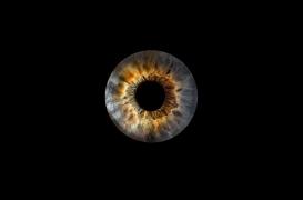 DMLA : “J’ai mis des années à me dire que j’avais un handicap”