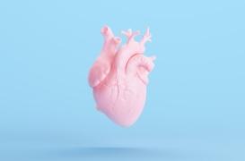 Un cœur en titane implanté pour la première fois sur un humain