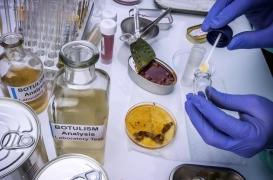 Botulisme : attention, ces conserves de canard sont rappelées dans plusieurs départements