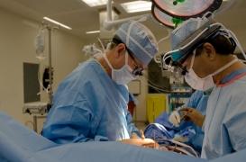  Première mondiale : un cœur de porc greffé chez un humain