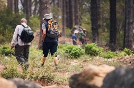 Le sport et l'environnement : un mariage durable ?