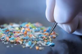 Des microplastiques découverts dans tous les placentas humains