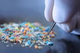 Microplastiques : un danger potentiel pour les vaisseaux sanguins et le cerveau