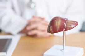 Fibrose hépatique : une hormone aurait le potentiel de la traiter