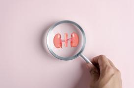 Symptômes, traitements, incidence... Tout savoir sur le cancer du rein
