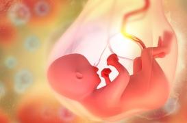 Autisme : un cerveau plus gros dans le ventre de la mère pourrait signaler son apparition 