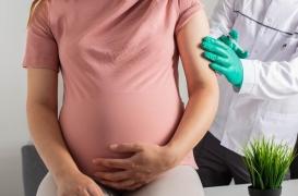 Coqueluche : pourquoi la vaccination est recommandée chez les femmes enceintes