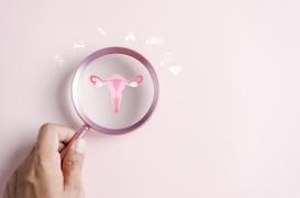 Pourquoi la fertilité des femmes chute-t-elle brutalement après 32 ans ?