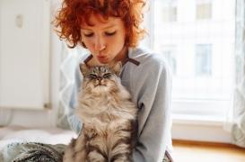 Les humains transmettent plus de virus aux autres animaux que l’inverse 