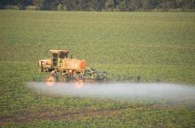 Parkinson : ce pesticide double les risques de développer la maladie