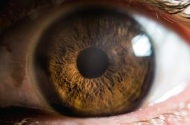 Après une attaque à l’acide, son œil a été sauvé grâce à un placenta 