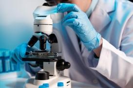 VIH : des chercheurs rendent le virus visible dans nos cellules immunitaires