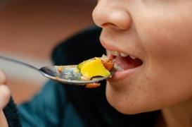 Une bouche artificielle pour comprendre la transformation des aliments