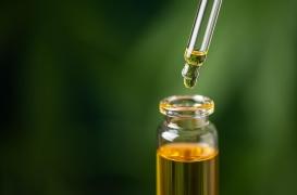 Le CBD peut-il vraiment ralentir Alzheimer ?