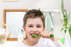 Une nouvelle maladie auto-immune entrave le développement de l’émail des dents