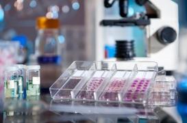 Cancer de la prostate : un test sanguin pour prédire la résistance aux chimiothérapies