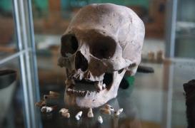 Comment les Mayas soignaient les caries avec des … pierres précieuses !