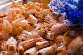La carapace des crustacés et des insectes, une solution contre l'obésité ?