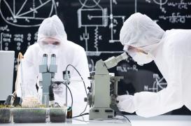 Infection fongique : les champignons menacent de plus en plus notre santé 