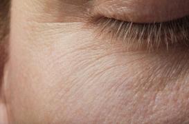 Quels sont les 7 rôles essentiels de la peau ?