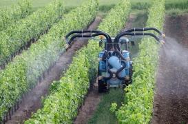 Pesticides : un lien avec la leucémie avéré