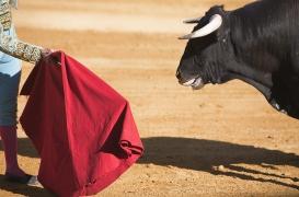 Corrida : quelles conséquences psychologiques pour les enfants ?