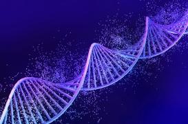 Votre ADN façonne votre fertilité et votre espérance de vie 