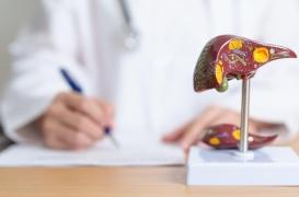 Le dysfonctionnement d’un récepteur cellulaire pourrait expliquer la maladie du foie gras
