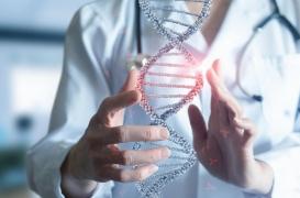 Une nouvelle maladie génétique qui touche les muscles, identifiée 