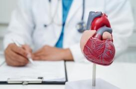 Infarctus, insuffisance cardiaque : un gène spécifique peut aider le cœur à se réparer