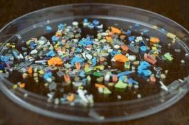 Maladies cardiaques : le rôle des microplastiques se précise