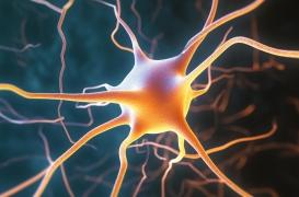 Sclérose en plaques : une étude mesure l’impact sur la qualité de vie