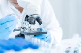 Cancer : pourquoi les succès en laboratoire ne marchent pas dans la réalité