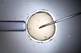 FIV : la consommation de cannabis liée à des anomalies chromosomiques 